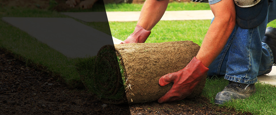 Stafford Landscapers